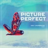 PICTURE PERFECT - Single