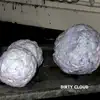 Ritalin