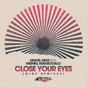 Close Your Eyes (Migs Salty Summer Remix) [feat. Meshell Ndegeocello] artwork