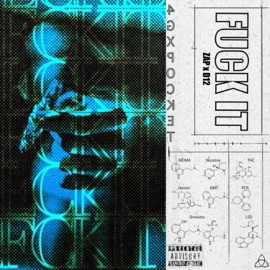 f**k it (feat. RIVIAN) Zap