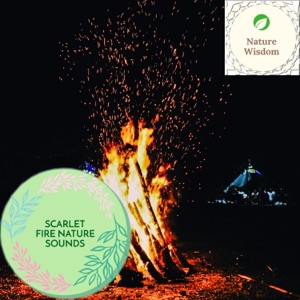 Scarlet Fire Nature Sounds
