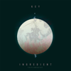 Key Ingredient (Instrumental) - Mili