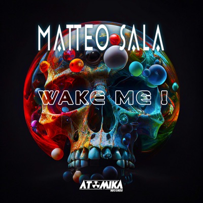 Wake Me! - Single