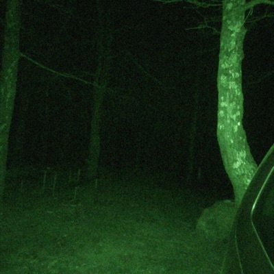 Shadows In the Dark - Single