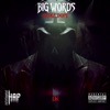 Big Words - Single