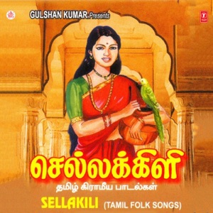 Kottu Sottu Potta