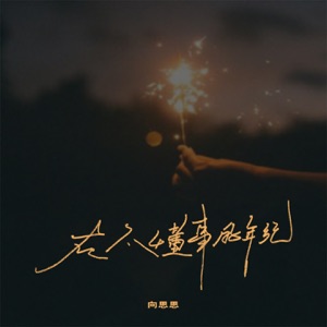 在不懂事的年纪 - Single