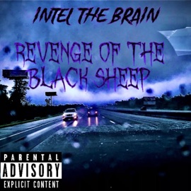 Ballin (feat. HVSHIRV) Intel The Brain