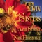 Twin Sisters - Annie Staninec and Nick Hornbuckle lyrics