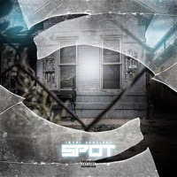 Spot - Single - Imari Cartione