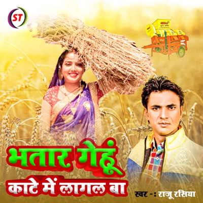 Bhatar Gehu Kate Me Lagal Ba (Bhojpuri) - Single