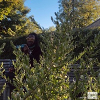 What I Learnt This Summer - EP - Ugø