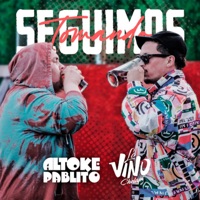 Seguimos Tomando - Single - Altoke Pablito & La Vinochelapi