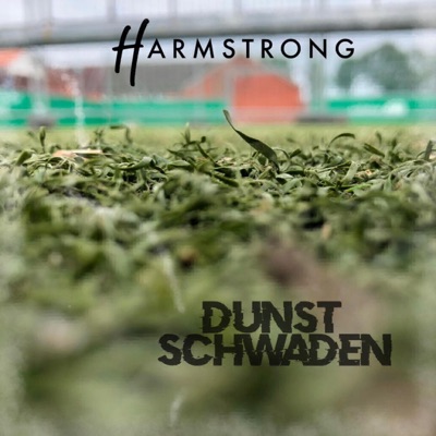Dunstschwaden (feat. Ninelay) - Single