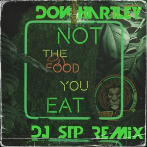 Not the Food You Eat - Single