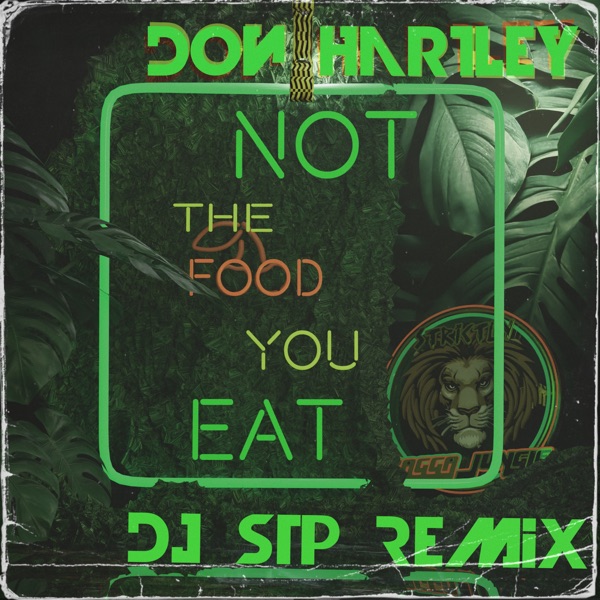 Not the Food You Eat - Single