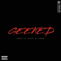 Geeked (feat. $xdflex & Vrun) - Single - Envyvert