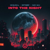 Into the Night (Extended Mix) artwork