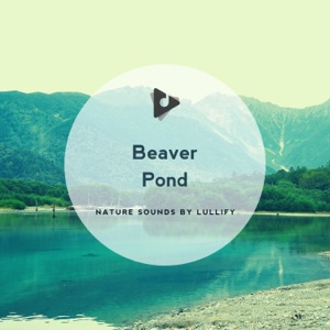 Beaver Pond