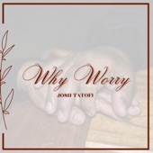 Why Worry artwork