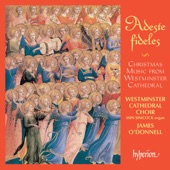 Adeste fideles: Christmas Music from Westminster Cathedral artwork