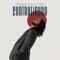 Controfigura - Francesco Lettieri lyrics