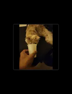 Listen to Jose_finger_21, watch music videos, read bio, see tour dates & more!