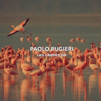 Life Carries On - Paolo Rugieri