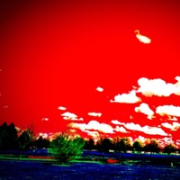 Cozy - Single - Crizzy White