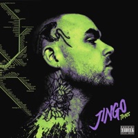 Jingo - Timos