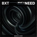 BXT - What U Need