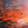 A Slow Hand Waving Goodbye - Single