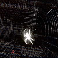 DID It Again! - Single - 15Geeked