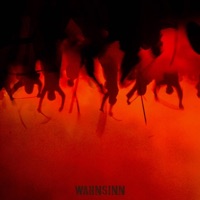 Wahnsinn - Single - MAVI DER ROTE
