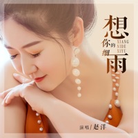 想你的细雨 - EP - 赵洋