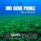 Seaweed (feat. Khid Genius) - Mr Gene Poole lyrics