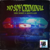 No Soy Criminal artwork