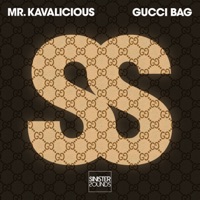 Gucci Bag - Single - Mr. Kavalicious