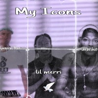 My Icons (General Manizo x Lil Merri x Shebeshxt) (feat. Kay toxic & Waqcala Tibla) - Single - Young T