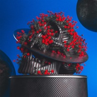 Echoes Vol. I - EP - Echolocation