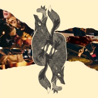 Strength - Bryce Fox