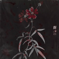 Spectre (feat. TruePilot & triz nowa) - Single - Not Robert Barnes