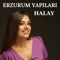 Erzurum Yapıları Halay - Aylin Demir lyrics