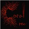 Histoire D'Amour (Askapello  Remix) - Aleeg lyrics