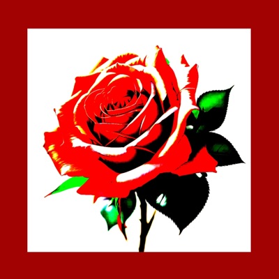 Misunderstood (feat. Prodbybaddi) - Single