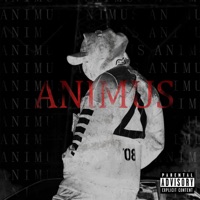 Animus - Single - SENZORITY