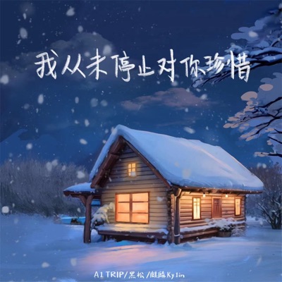 我从未停止对你珍惜 - Single