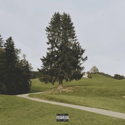 non ci pensare (feat. kniar, Marco444, Narcolessia & EnimraK) - Single