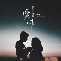 拿什么纪念爱情 - Single - 暴林