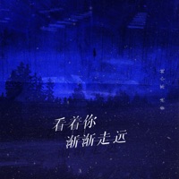 看着你渐渐走远 - Single - 音决 & 苏小纯